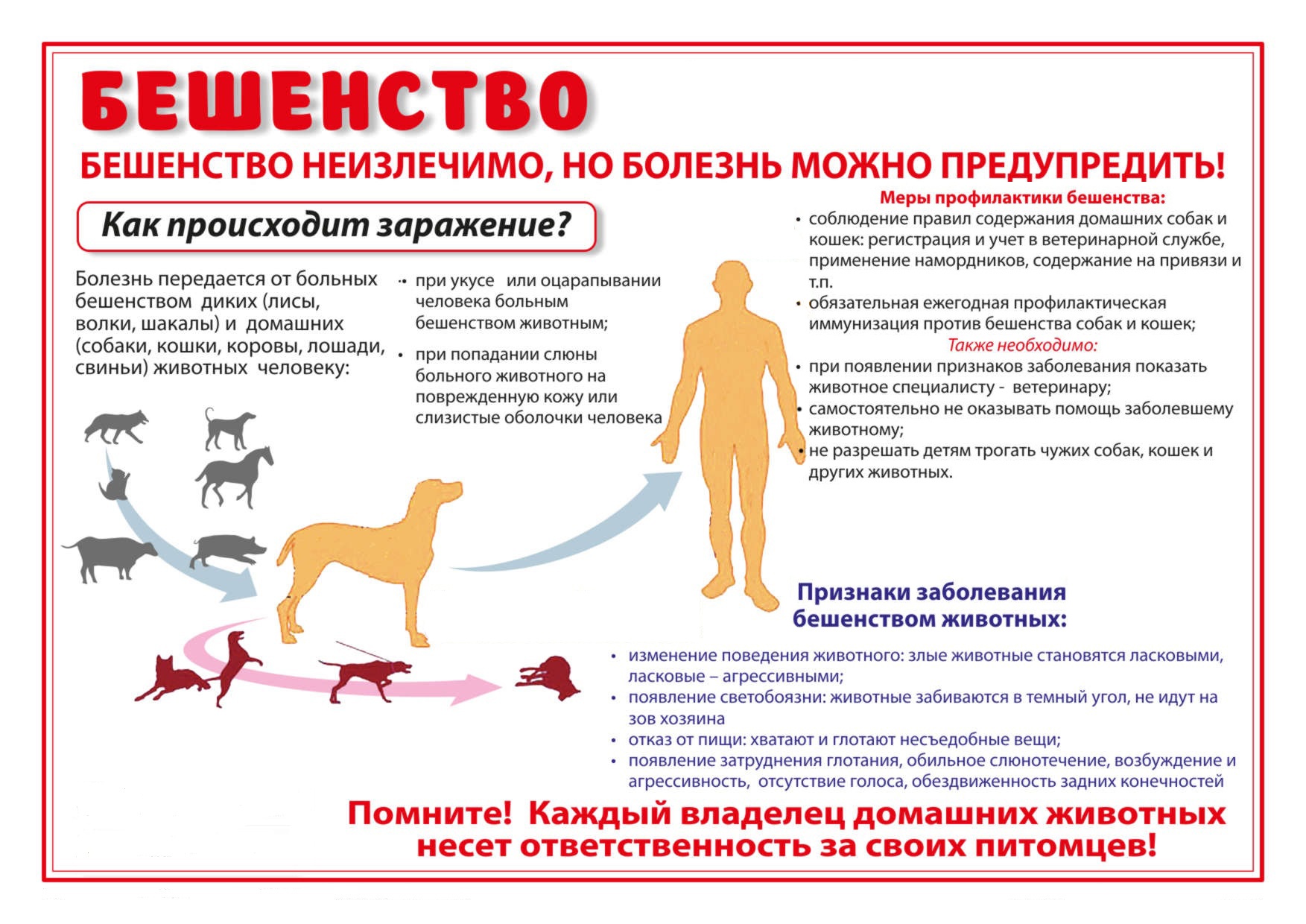 Бешенство неизлечимо, но болезнь можно предупредить!.