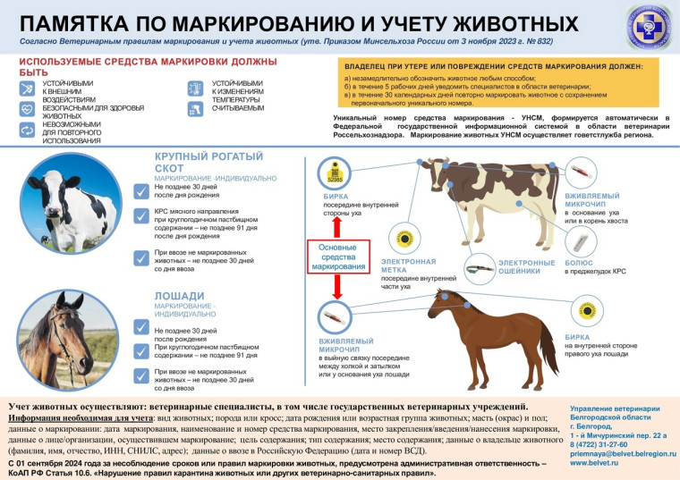 Маркирование и учет сельскохозяйственных животных. Маркирование и учет сельскохозяйственных животных.