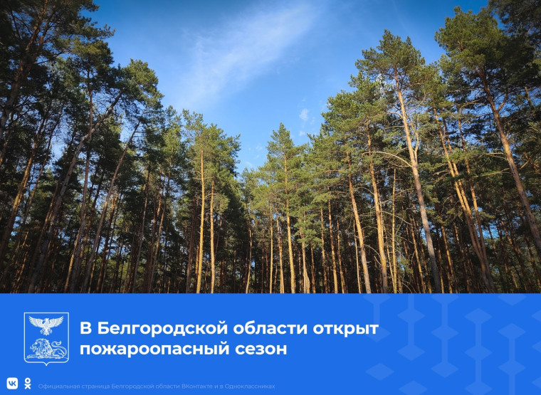 Начался пожароопасный период. Начался пожароопасный период.