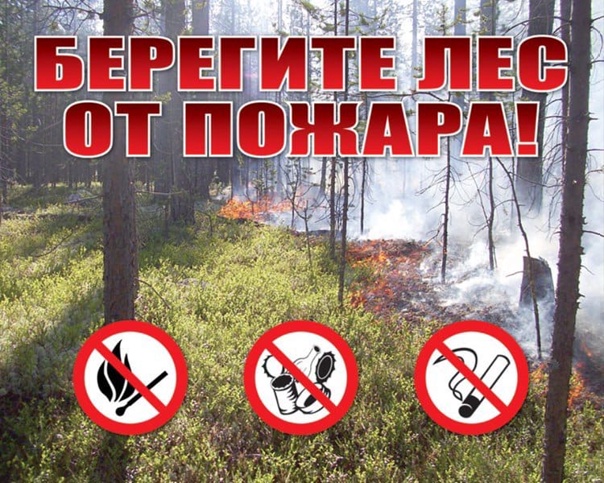 Особый противопожарный режим. Особый противопожарный режим.