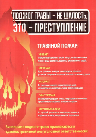 Весенние палы травы. Весенние палы травы.